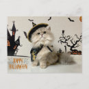 Search for halloween postcards Kitten