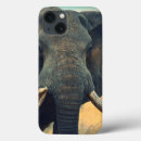 Search for elephant ipad cases Nature