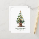 Search for christmas tree postcards Botanical