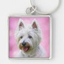 Search for yorkie keychains Pets