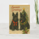Search for scottish terrier Puppy