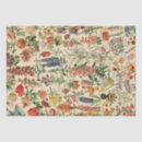 Search for leaf plant tissue paper Botanical