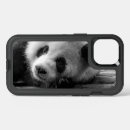 Search for panda iphone cases bear
