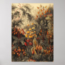 Search for illustration posters Floral