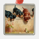Search for dachshund ornaments Animals