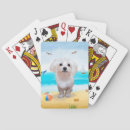Search for maltese dog gifts Animal lover