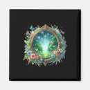 Search for mirror magnets Colorful