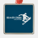 Search for beaver ornaments Skiing