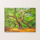 Search for angel oak tree Charleston