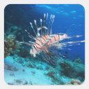 Search for sea lion stickers Lionfish