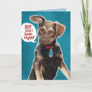 Search for german birthday cards Puppy