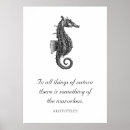 Search for seahorse quote Nautical