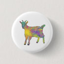 Search for cute buttons Colorful