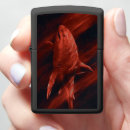 Search for shark lighters Sea