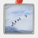 Search for antarctica ornaments Animal
