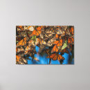 Search for butterfly canvas prints California