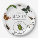 Search for bug paper plates Insect