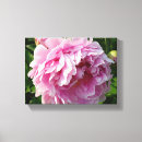 Search for floral canvas prints Pink roses