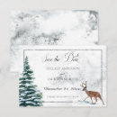 Search for cardinal bird invitations Snow