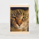 Search for miss you cards Cute
