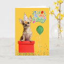 Search for chihuahua birthday cards Dogs