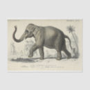 Search for elephant tissue paper Decoupage