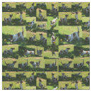 Search for photo fabric Dog