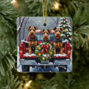Search for airedale terrier ornaments Snow