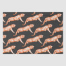 Search for tiger print tissue paper Pattern