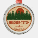 Search for yellowstone ornaments Nature