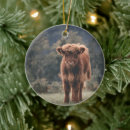 Search for scottish highland cow ornaments Calf