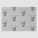 Search for goat tissue paper Animals