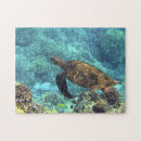 Search for sea turtles puzzles Diving