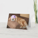 Search for retired dog cards Golden retriever