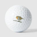 Search for bird golf balls Robin