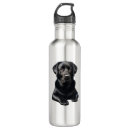 Search for dog water bottles cute