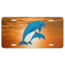 Search for dolphin license plates Wildlife
