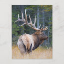 Search for mountain postcards Canada