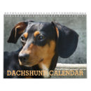 Search for dachshund calendars Pet