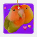 Search for lovebird ornaments Parrots