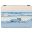 Search for iceberg ipad cases winter
