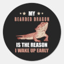 Search for bearded dragon stickers Fantasy