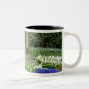 Search for holland mugs Lisse