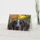 Search for german shorthaired pointer dog cards Animal