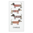 Search for dogs door signs Cute