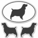 Search for springer spaniel Dog