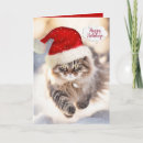 Search for maine coon cat christmas cards Pet