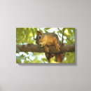 Search for squirrel gifts Cute