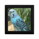 Search for storage Blue