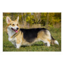 Search for corgi posters Pet